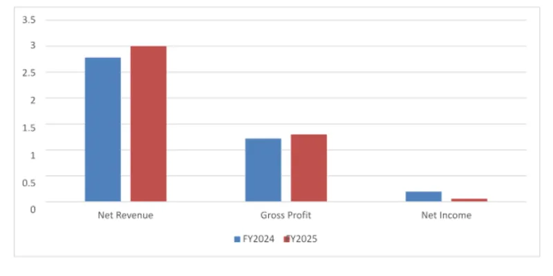 Financial Performance (FY2025 vs FY2024):